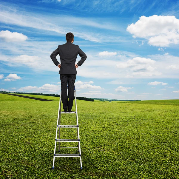 Back view of businessman standing — Stock Photo, Image