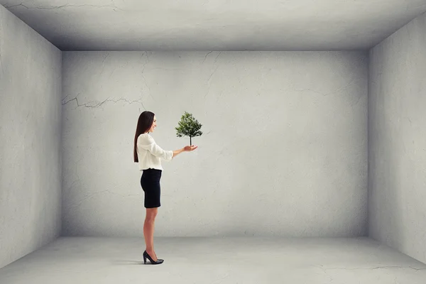 Sonriente mujer sosteniendo pequeño árbol —  Fotos de Stock