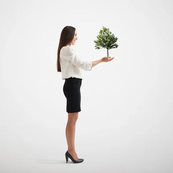 Mulher segurando pequena árvore — Fotografia de Stock