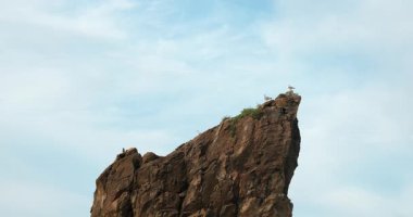 Martılar tüneyerek bazen engebeli bir kıyı şeridinde ağır çekimde bulutlu mavi gökyüzünün altında uçarlar..