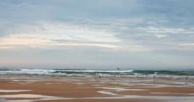 Yavaş çekimde bir martı sürüsü yansıtıcı alçak dalgalı sahilde uçar ve yiyecek arar. Kıyı kayalıkları, evler ve bulutlu bir gökyüzünün altındaki uzak dağlar..