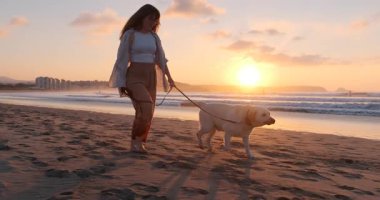Kumlu bir sahilde labradoruyla çıplak ayakla yürüyen gülümseyen bir kadının ağır çekimde okyanusun üzerinde altın güneş batarken onu okşaması..