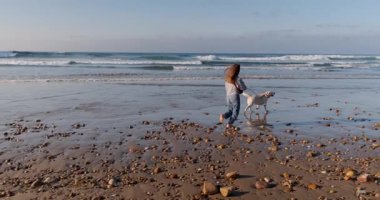 Güneşli bir günde, okyanus kıyısında ıslak ve çakıllı bir sahilde labradoruyla çıplak ayakla yürüyen bir kadının yavaş çekim tarafı..