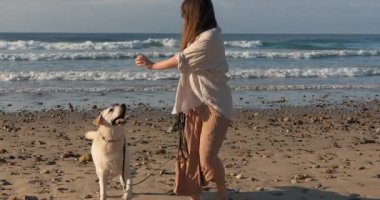 Okyanus kıyısında kumlu bir sahilde oynarken, mutlu labradoru için top atan bir kadının yavaş hareketi.