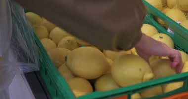 Bir markette ya da süpermarkette yeşil bir kasadan taze sarı limon seçen müşterilerin yakın çekimi. Meyve konsepti satın almak.