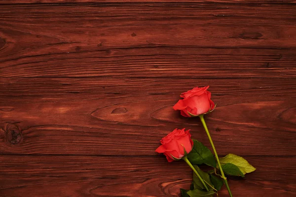 Dvě růže nad dřevěný hnědý backgorund — Stock fotografie