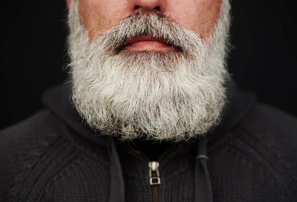 Close-up grey-haired beard — Stock Photo, Image