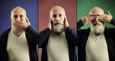 Üç Bilge maymunlar kavramı