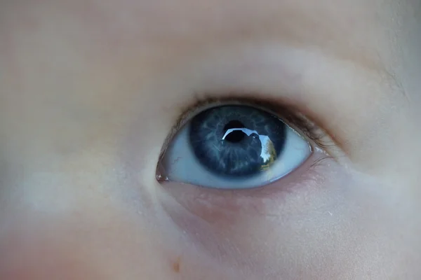 Голубые глаза мальчика - Крупный план лица младенца — стоковое фото
