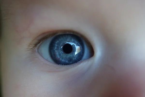 Bambino occhi blu - Immagine ravvicinata di un volto infantile — Foto Stock