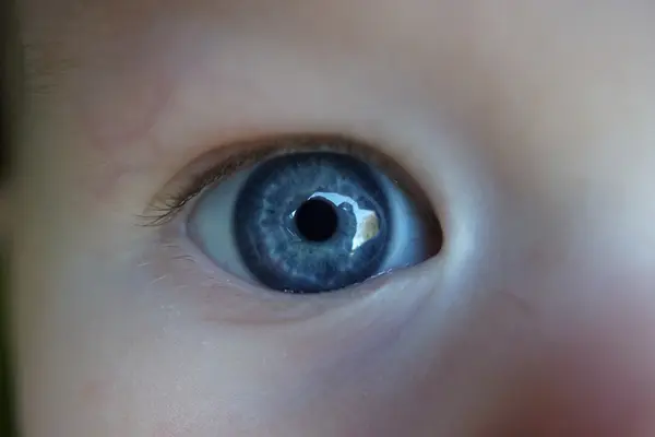 Baby boy blue eyes - Close-up image of an infant face — Stock Photo, Image