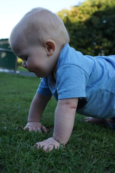 Giovane bambino che striscia sull'erba — Foto Stock