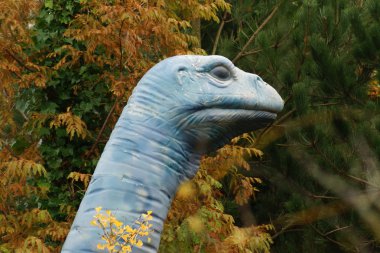 Apatosaurus