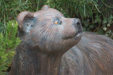 Soyu tükenmiş mağara Bear - Ursus spelaeus