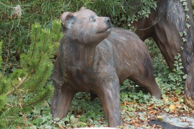 Soyu tükenmiş mağara Bear - Ursus spelaeus