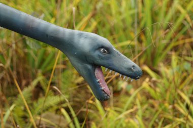 Elasmosaurus