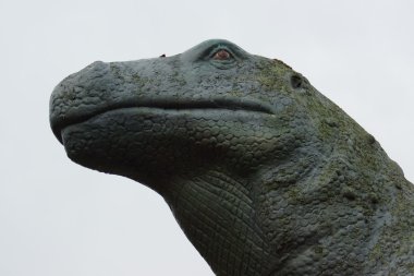iguanadon