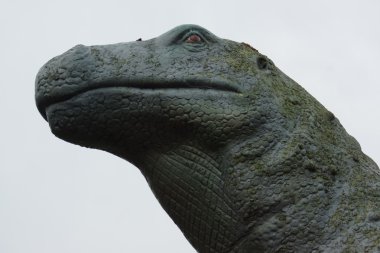 iguanadon
