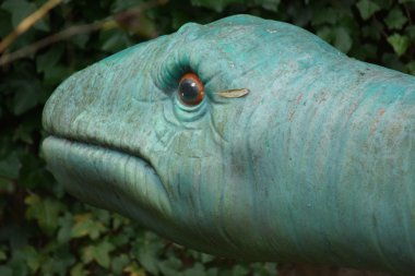 Mamenchisaurus