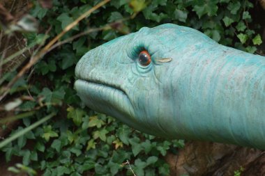 Mamenchisaurus