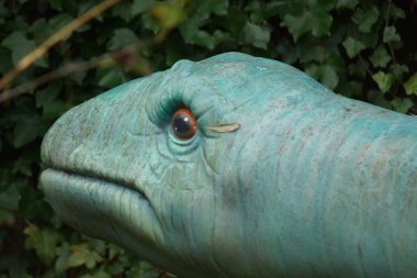 Mamenchisaurus