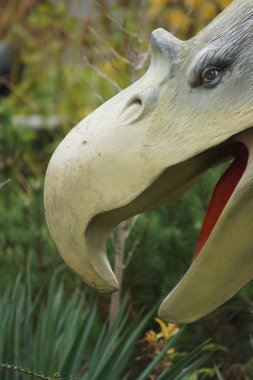 Phorusrhacos Longissimus