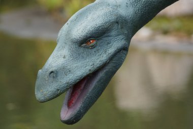 Plesiosaurus dolichodeirus