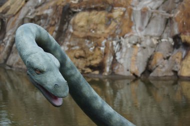 Plesiosaurus dolichodeirus