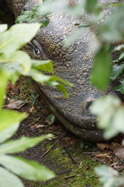 Panoplosaurus — 스톡 사진