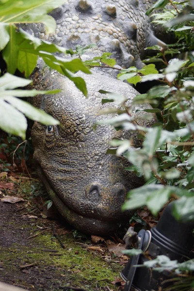 Panoplosaurus — Stock Fotó