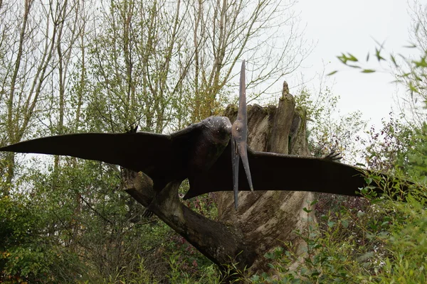 Pteranodon —  Fotos de Stock