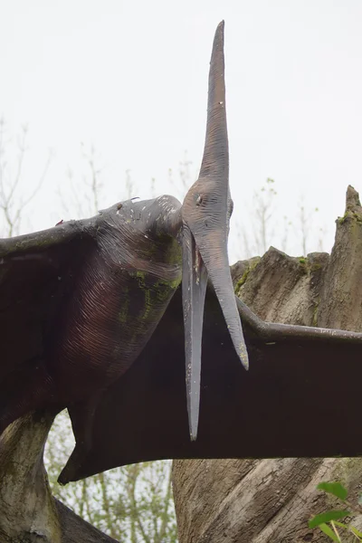 Pteranodon — Stockfoto