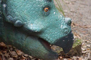 Triceratops