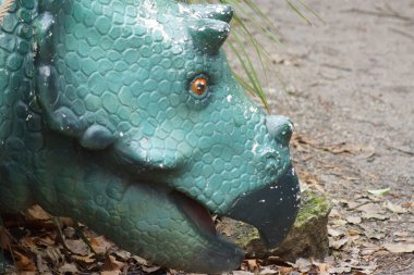 Triceratops