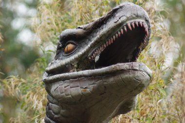 VelociRaptor