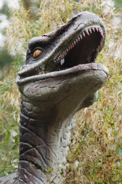 VelociRaptor