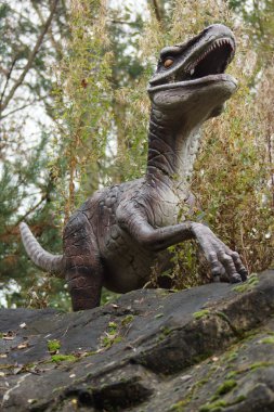 VelociRaptor