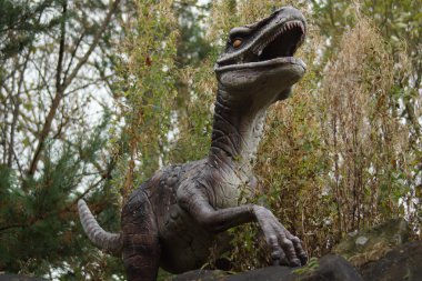 VelociRaptor