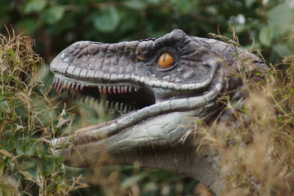 Velociraptor — стокове фото