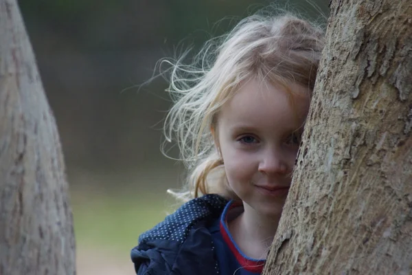 Молода дівчина на дереві — стокове фото