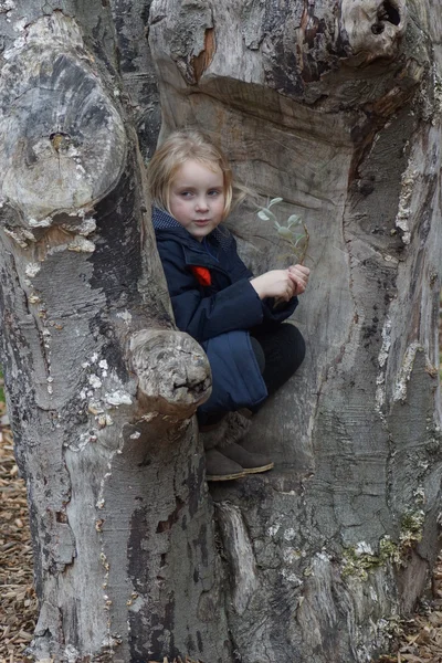 Giovane ragazza su albero — Foto Stock