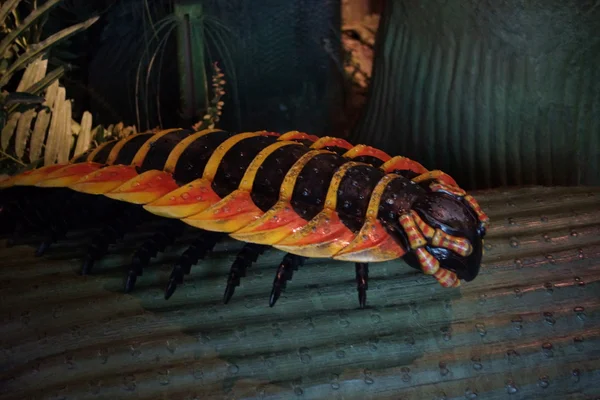 Arthropleura