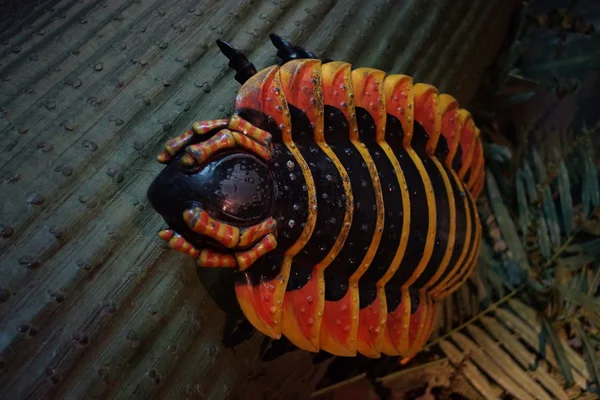 Arthropleura