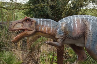 Allosaurus - Allosaurus fragilis