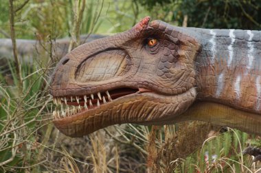 Allosaurus - Allosaurus fragilis