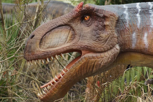 Allosaurus-allosaurus fragilis — 스톡 사진