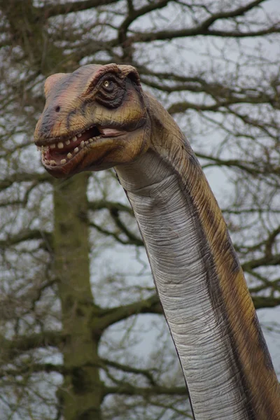 Een grote Apatosaurus — Stockfoto