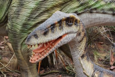 Büyük bir yaban Coelophysis