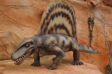 Dimetrodon - Dimetrodon limbatus