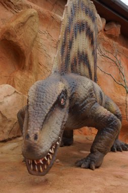 Dimetrodon - Dimetrodon limbatus
